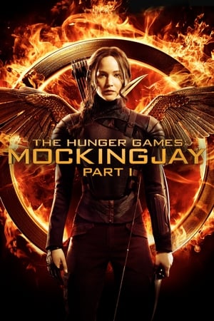 The Hunger Games: Mockingjay - Part 1 (2014) Hindi Dual Audio | Hindi Dubbed Movie BluRay [1.1GB]