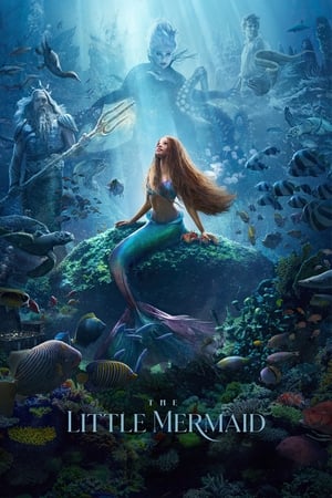 The Little Mermaid (2023) Hindi (ORG 5.1) HDRip | Hindi Dubbed Movie | 480p