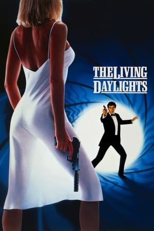 The Living Daylights (1987) Hindi Dual Audio | Hindi Dubbed Movie BluRay [1.1GB]