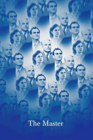 The Master 2014 Dual Audio Hindi | Hindi Dubbed Movie WebRip 300MB