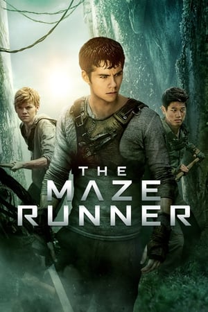 The Maze Runner (2014) Hindi Dual Audio | Hindi Dubbed Movie BluRay [1.1GB]