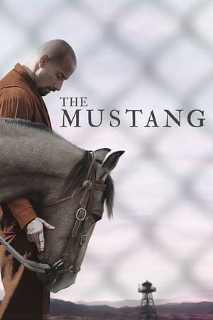 The Mustang (2019) Hindi Dual Audio | Hindi Dubbed Movie BluRay [900MB]