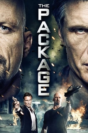 The Package (2013) Hindi Dual Audio | Hindi Dubbed Movie HDRip 350MB