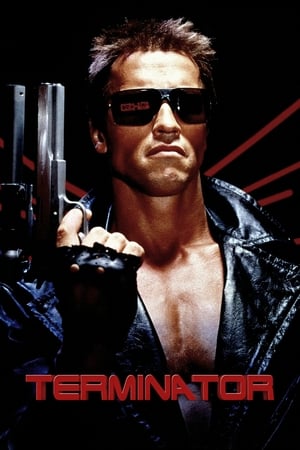 The Terminator (1984) Hindi Dual Audio | Hindi Dubbed Movie BluRay [800MB]