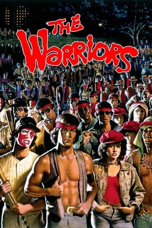 The Warriors 1979 Hindi Dual Audio | Hindi Dubbed Movie BluRay [830MB]