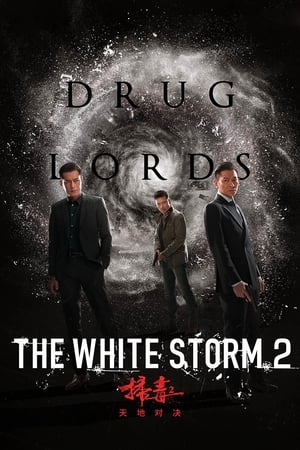 The White Storm 2: Drug Lords (2019) Hindi (Org) | Hindi Dubbed Movie HDRip 300MB