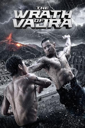 The Wrath of Vajra (2013) Hindi Dual Audio | Hindi Dubbed Movie BluRay 350MB