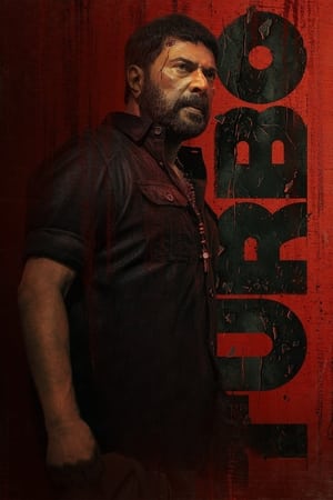 Turbo 2024 Hindi Dual Audio HDRip | Hindi Dubbed Movie – 720p – 480p