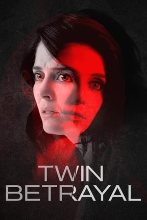 Twin Betrayal (2018) Hindi Dual Audio | Hindi Dubbed Movie HDRip [640MB]