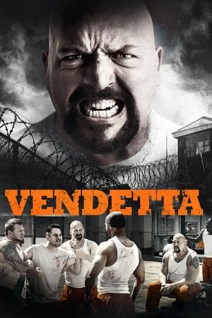 Vendetta 2015 Hindi Dual Audio | Hindi Dubbed Movie BluRay 300MB