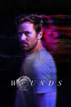 Wounds (2019) Hindi Dual Audio | Hindi Dubbed Movie BluRay [930MB]