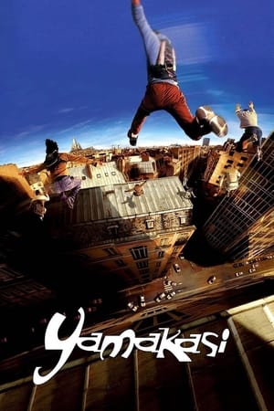 Yamakasi 2001 Hindi Dual Audio | Hindi Dubbed Movie BluRay [980MB]